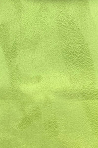 Shades of Suede Iguana