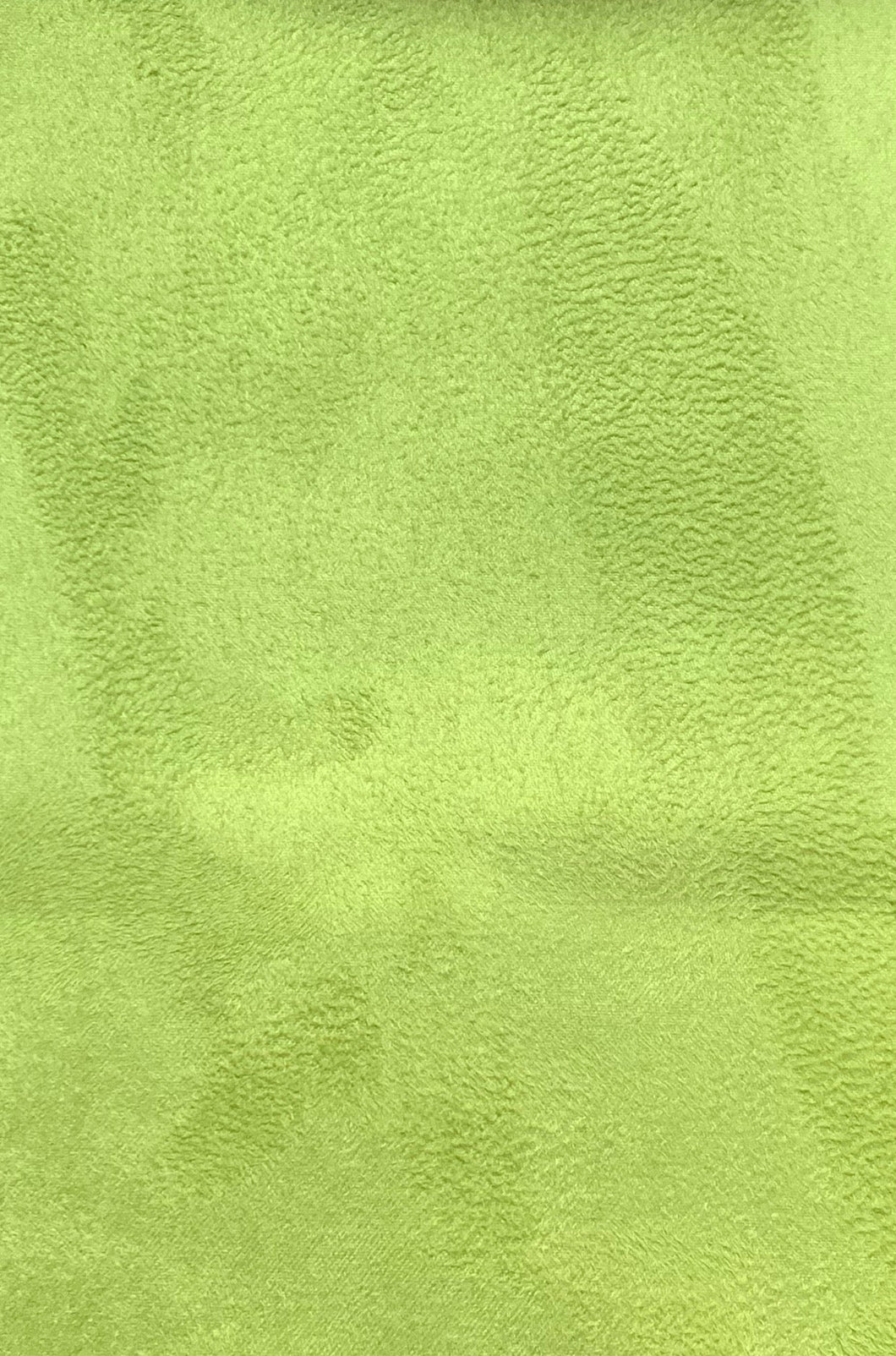Shades of Suede Iguana