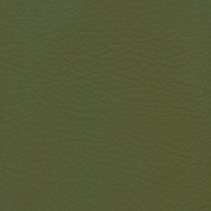 Whisper-2129 Forest