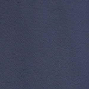 Whisper-2137 Navy