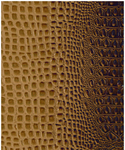 Crocodile Chocolate