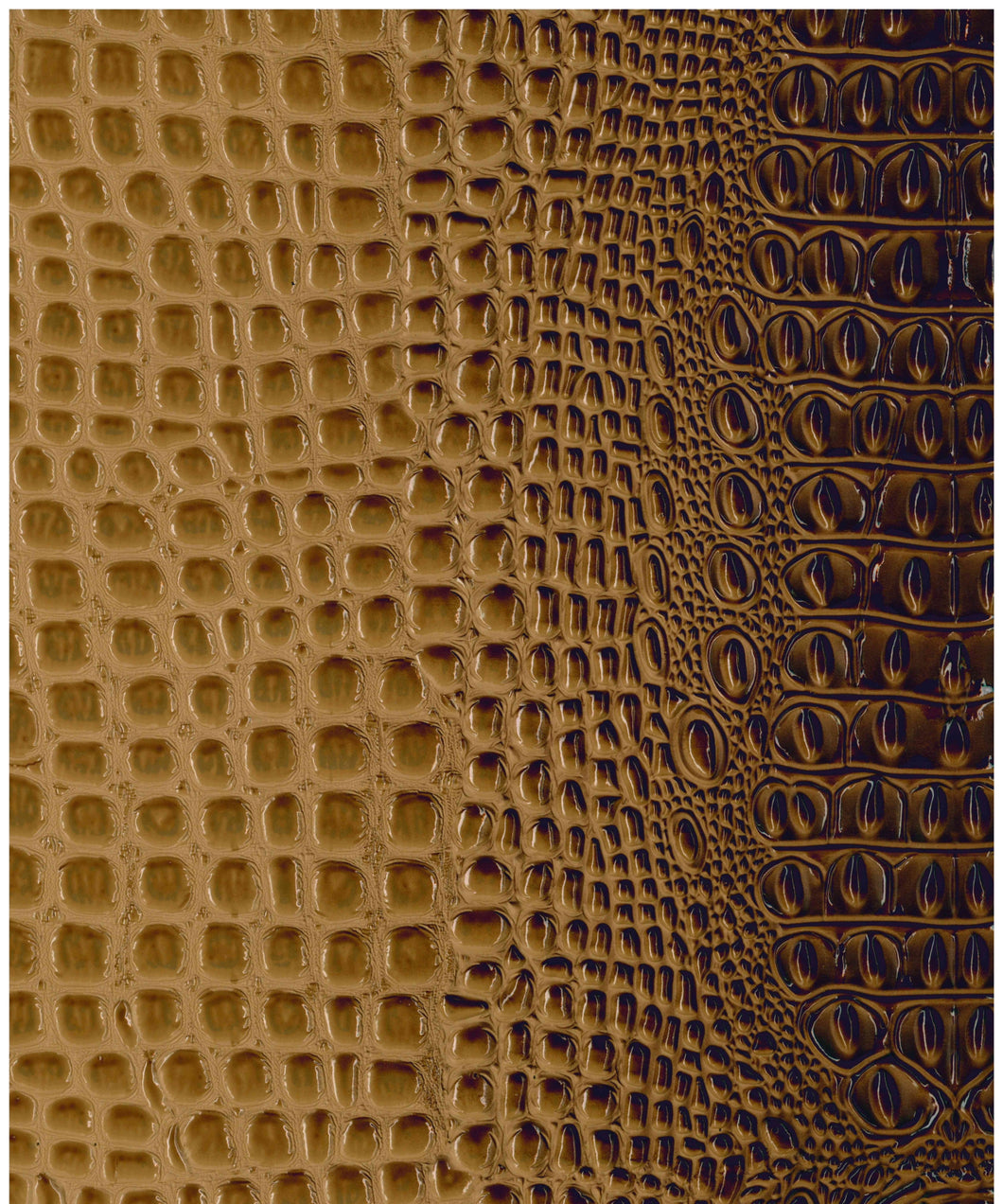 Crocodile Chocolate
