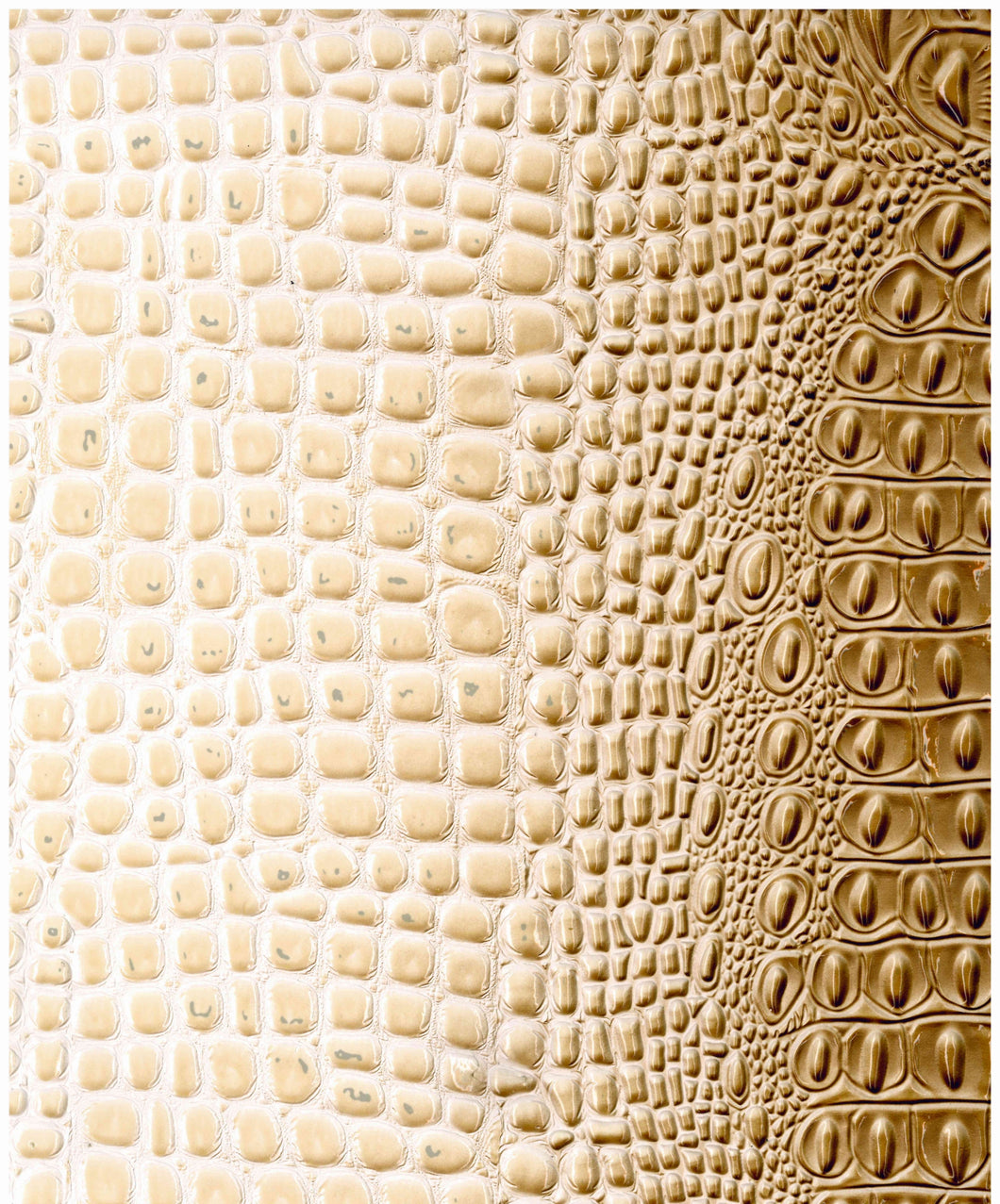 Crocodile Cream