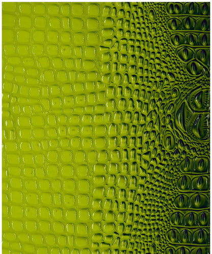 Crocodile Green