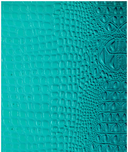Crocodile Teal