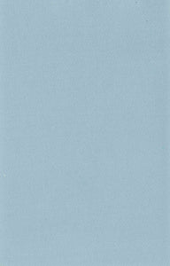 Delfi Denim