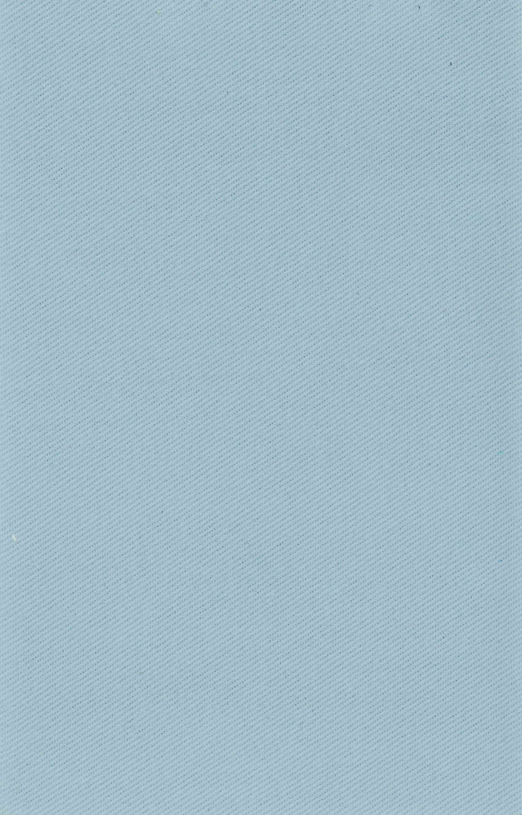 Delfi Denim