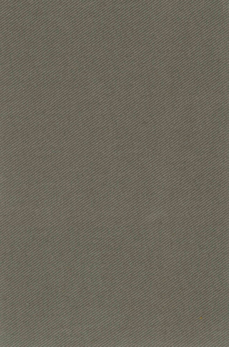 Delfi Grey