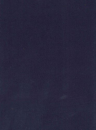 Delfi Navy