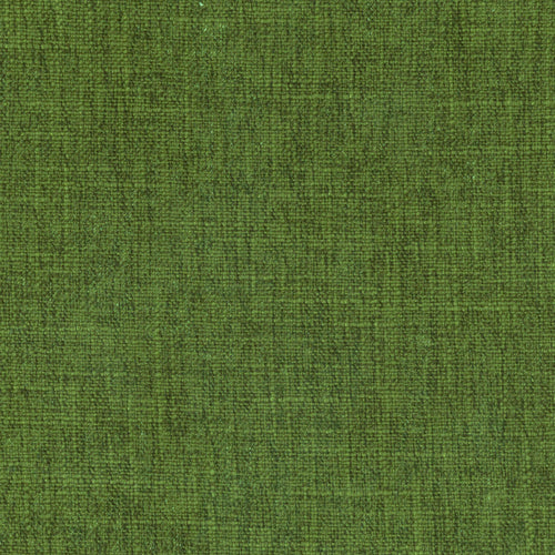 Monterrey Olive