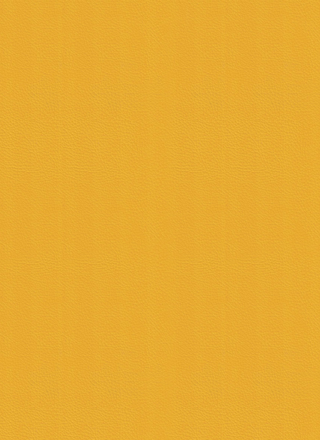 Dynamic Yellow